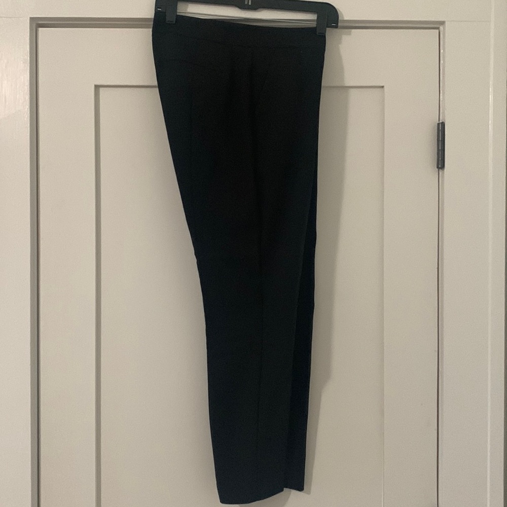 Express Dress Pants